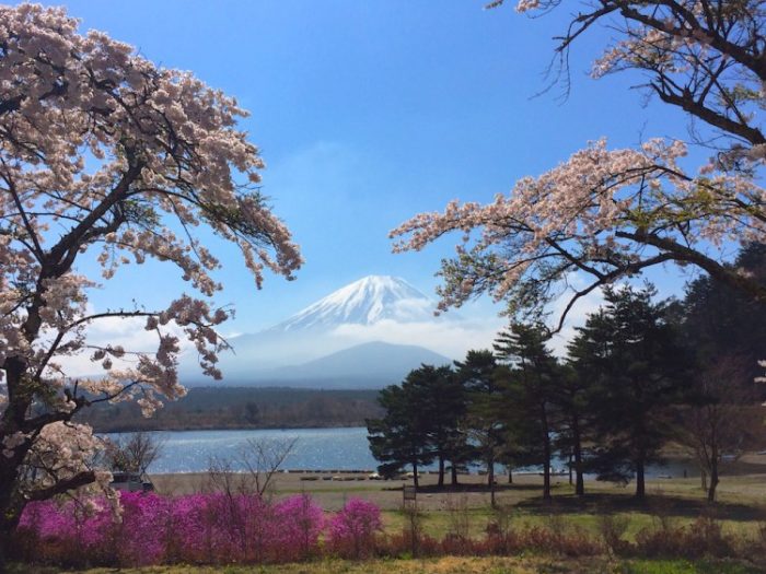 富士五湖周辺の 予約なし で利用できるキャンプ場３選 連休でも宿泊できるチャンスがあるかも キャンプ情報メディア キャンプバルーン