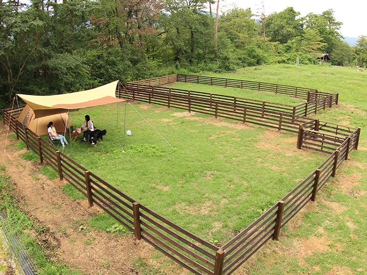 関西 ペット同伴可 愛犬と一緒に泊まれるキャンプ場5選 キャンプ情報メディア キャンプバルーン