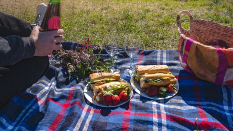 ピクニックの不快な地面が極上席に早変わり！おすすめの厚手・防水レジャーシートをご紹介！ - キャンプ情報メディア「キャンプバルーン」