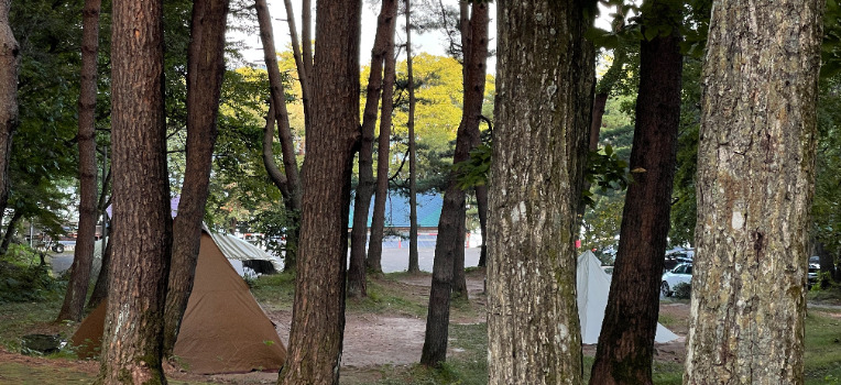 【秋田県仙北市】湖畔でのんびり過ごせる「田沢湖キャンプ場」を宿泊レビュー