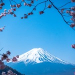 【山梨県】桜が楽しめるキャンプ場5選！お花見をしながら春キャンプを満喫！